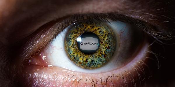 Eightco Stock Jumps 3000 on Worldcoin Treasury Strategy, BitMine Investment