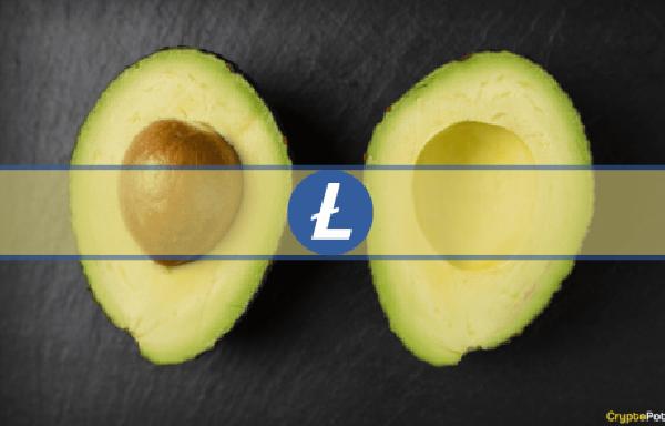 Litecoin Sees Increased Network Activity Ahead of Halving