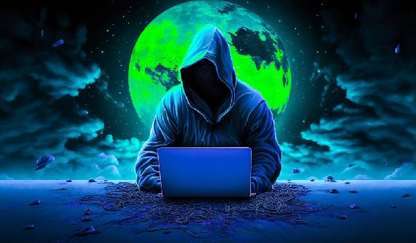 Fraudster Drains $3,700,000 From Investors After Posing As U.S. Department of Homeland Security Agent and Attorney