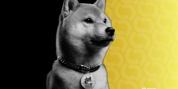 Dogecoin Is About to Get a Flood of Games Via DogeOS and PlaysOut
